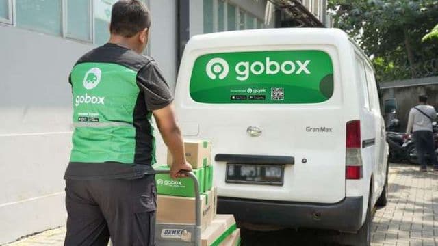 GoBox Bali 3